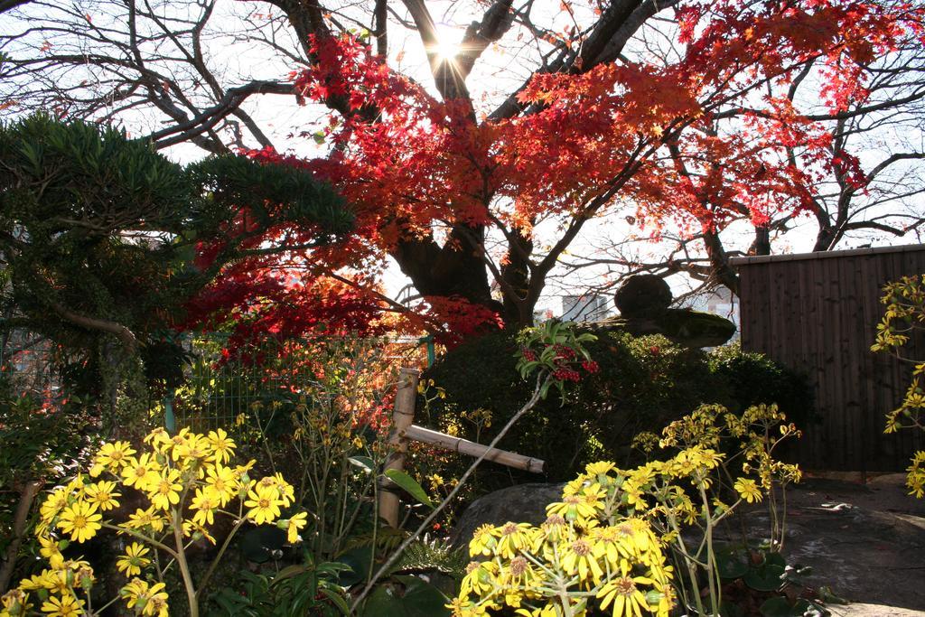 Ureshino Onsen Shoen Bagian luar foto